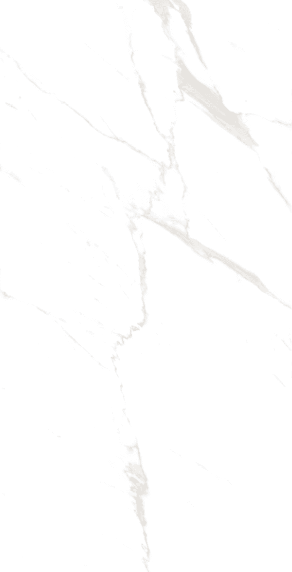 Swiss Carrara - 600x1200mm Kitchen & Bathroom Tiles