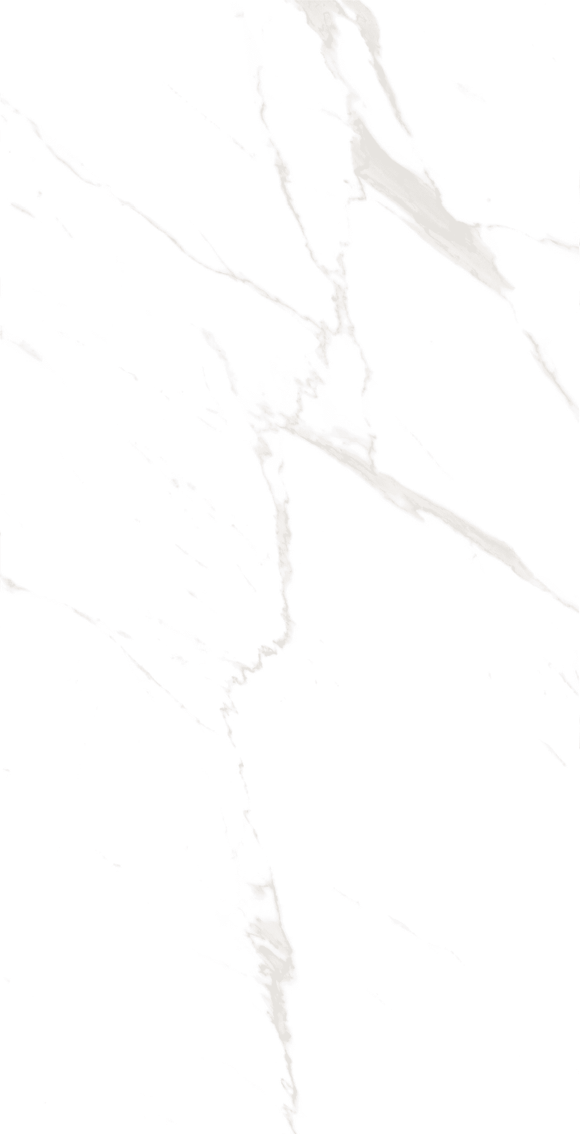Swiss Carrara Polished