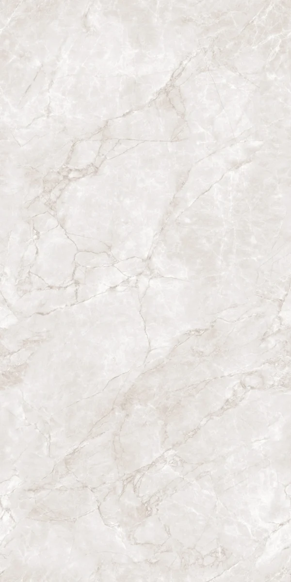 Rolex Silver - 600x1200mm Porcelain Outdoor Tiles
