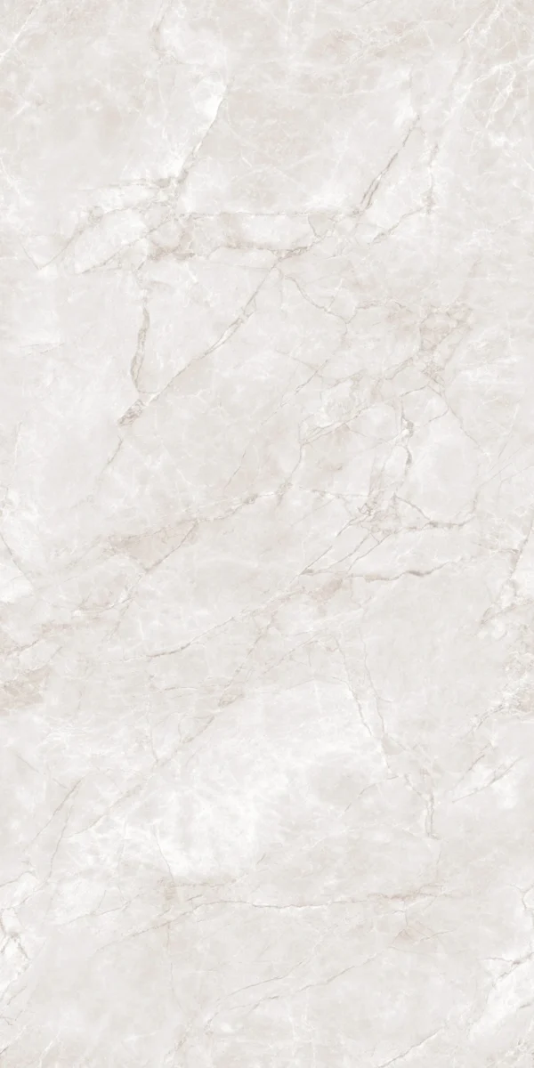 Rolex Silver - 600x1200mm Polished Floor & Wall Tiles