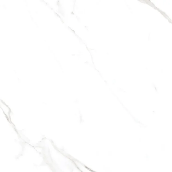 Swiss Carrara - 600x600mm Porcelain Outdoor Tiles