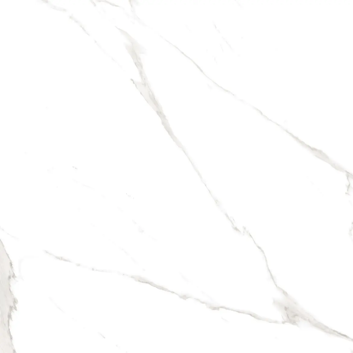 Swiss Carrara Polished