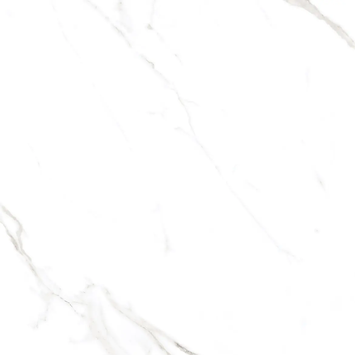 Swiss Carrara Polished