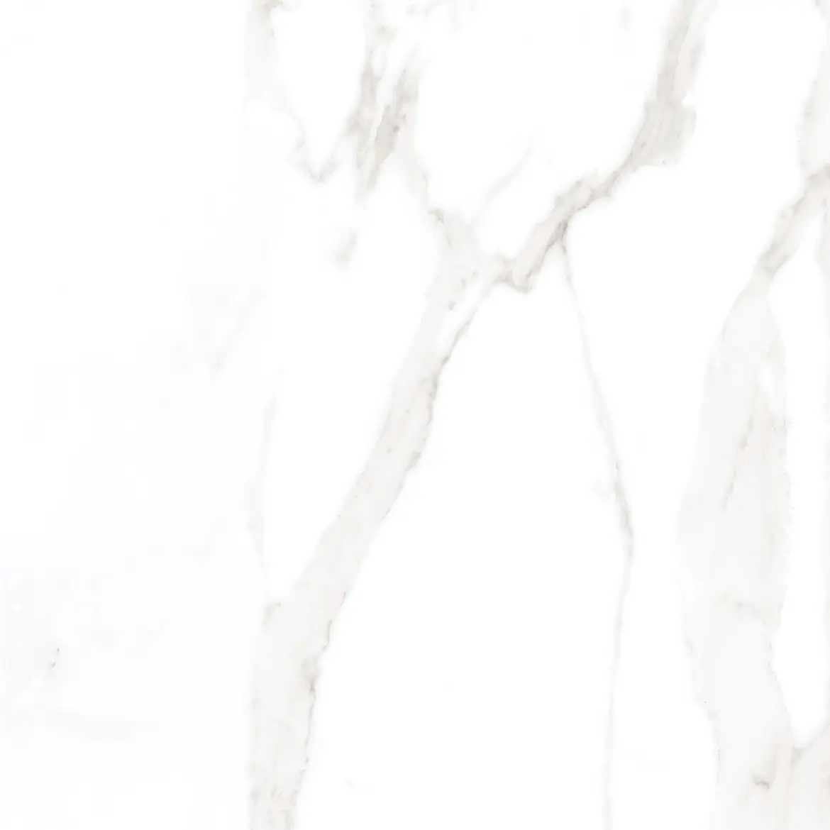 Swiss Carrara Polished