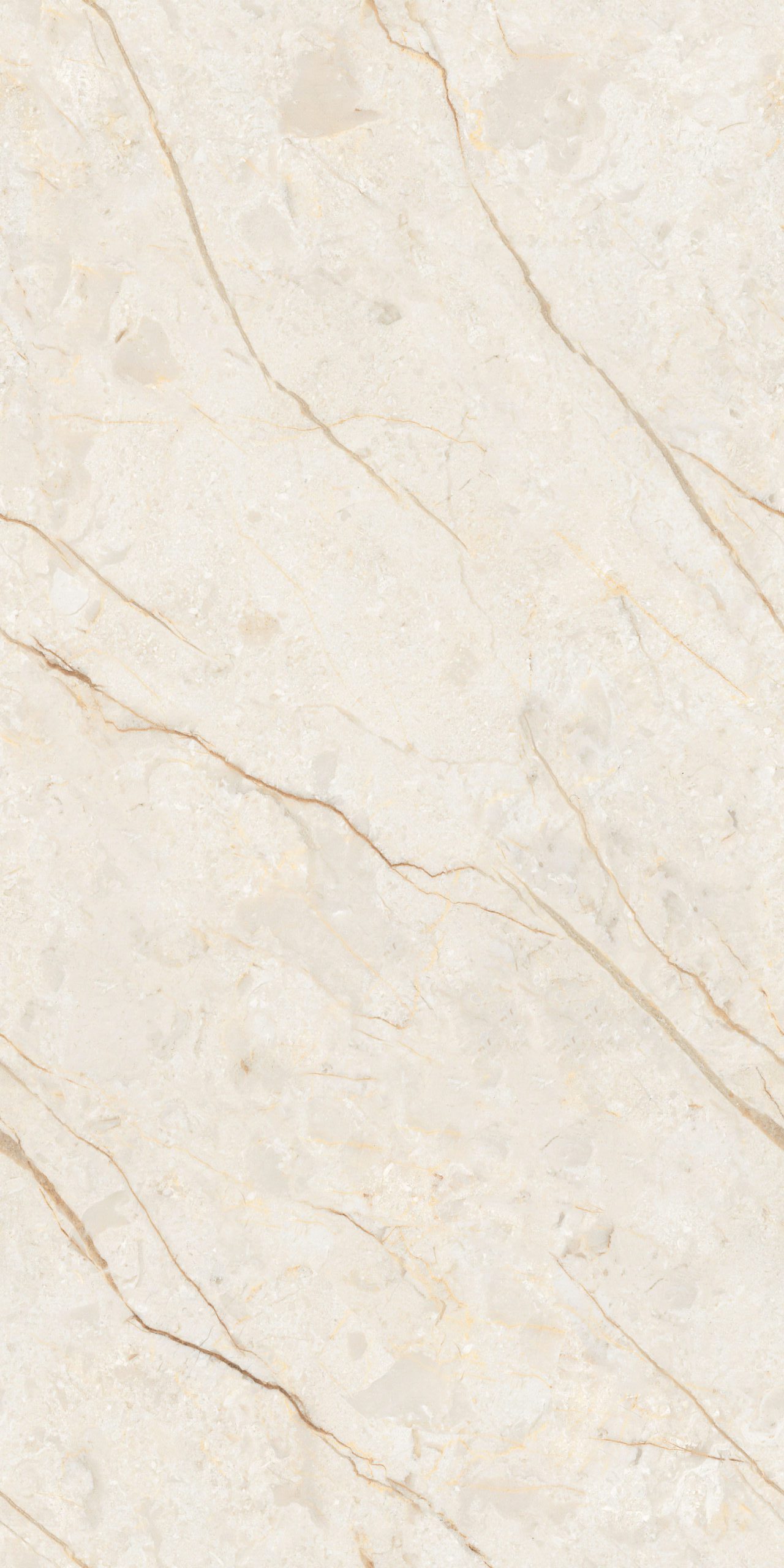 Lisa Beige